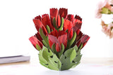 Red Tulip Pop Up Card