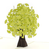 Ginkgo Biloba Pop Up Card