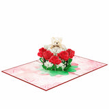 Teddy Rose Pop Up Card