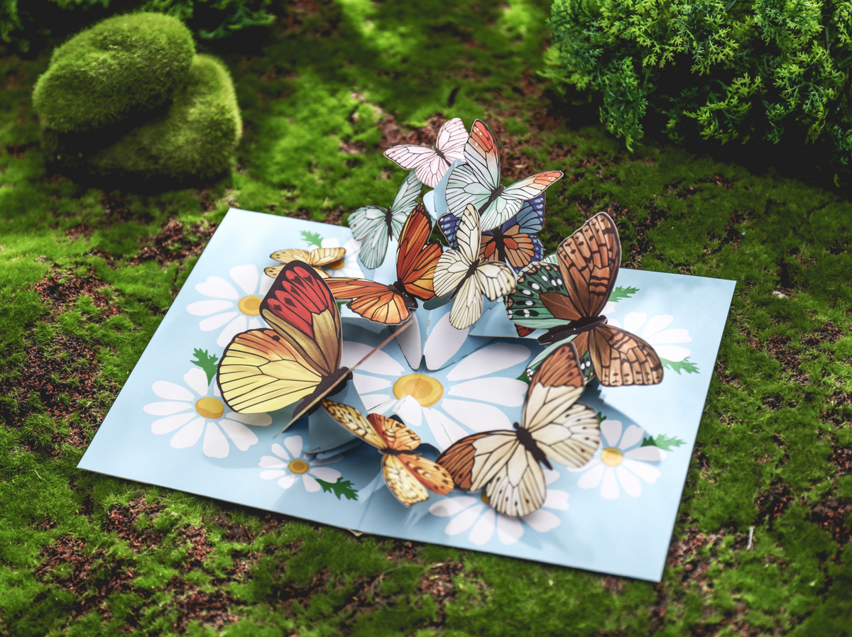 Butterfly Flying Pop Up Card – Liif