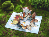 liif 3d greeting pop up card butterfly flying spring mother day sympathy