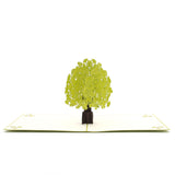 Ginkgo Biloba Pop Up Card