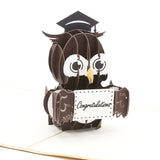liif graduation owl pop up card