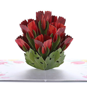 Red Tulip Pop Up Card