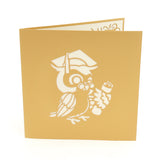 Graduation Owl Pop Up Card