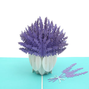 Lavender Blooms Pop Up Card