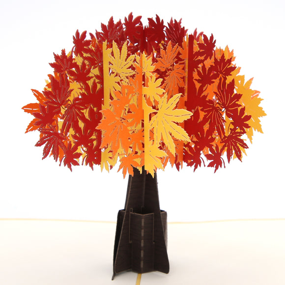 Maple Tree Pop Up Card