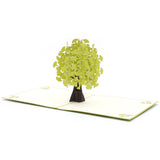 Ginkgo Biloba Pop Up Card