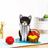 Knitting Kitty 3D pop-up card
